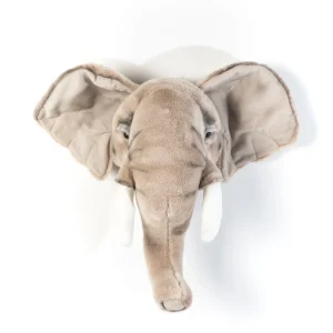 Animais, Elefante George