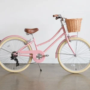 Bicicleta Gingersnap 24"